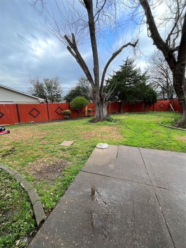 view of yard with a fenced backyard and a patio