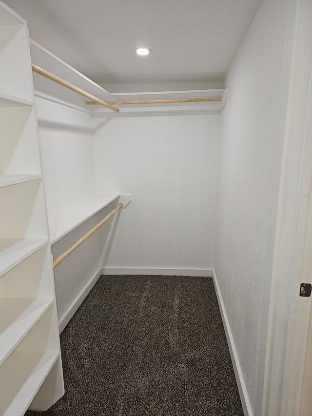 walk in closet with carpet flooring