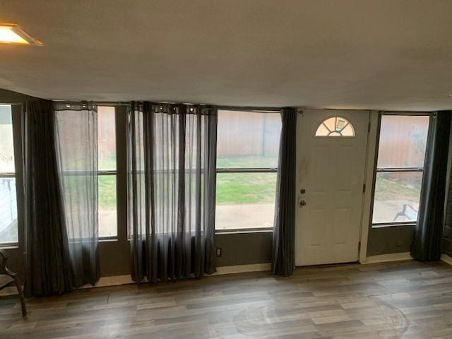 entrance foyer featuring wood finished floors