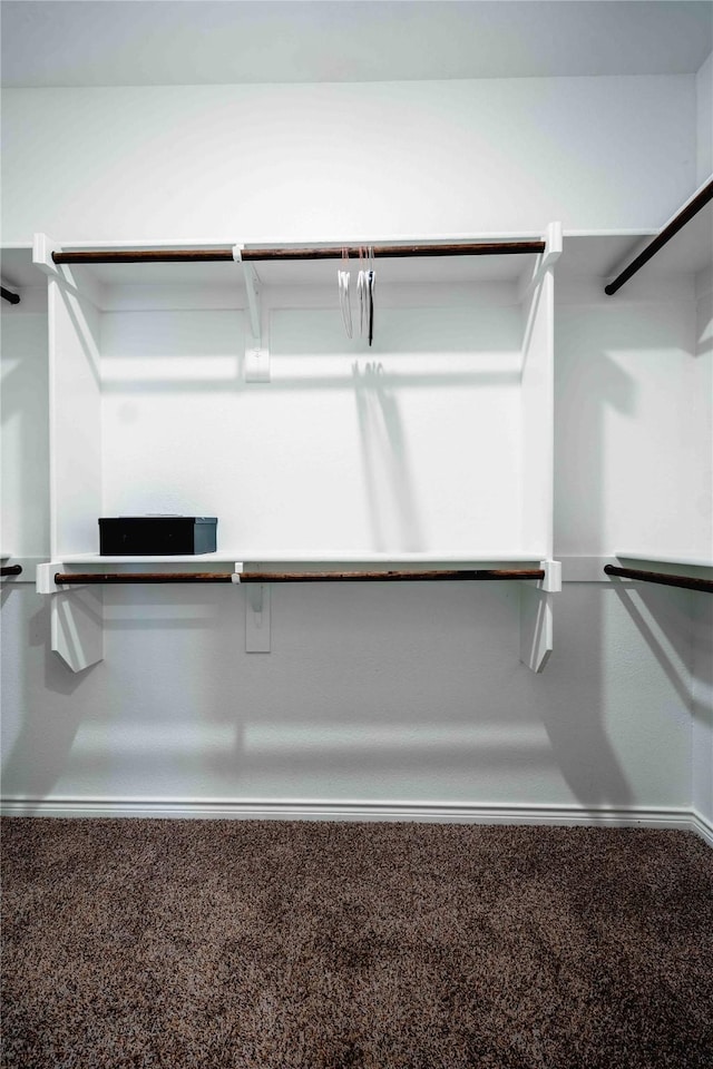 spacious closet with carpet flooring