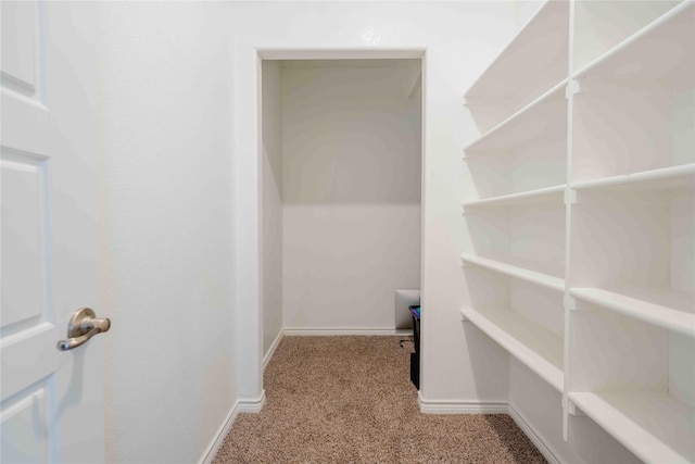 walk in closet with carpet flooring