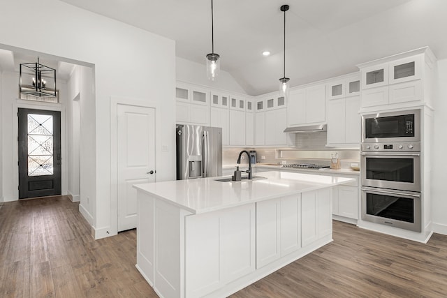 kitchen featuring tasteful backsplash, appliances with stainless steel finishes, wood finished floors, under cabinet range hood, and a sink