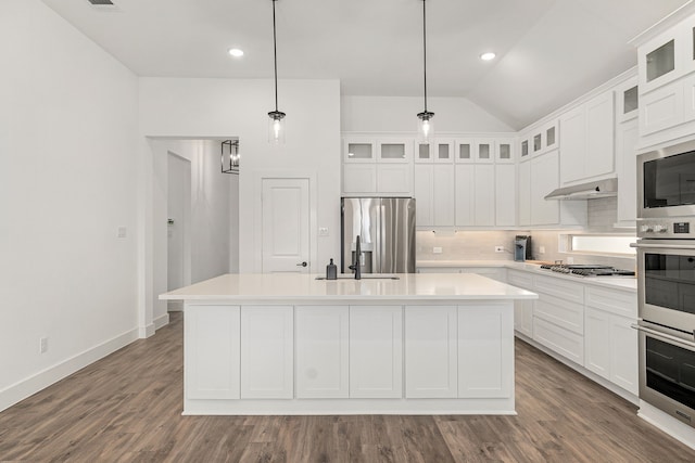 kitchen with tasteful backsplash, a kitchen island with sink, stainless steel appliances, under cabinet range hood, and a sink