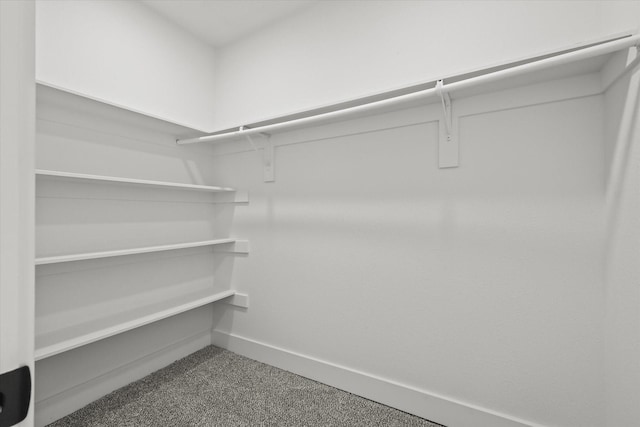 spacious closet with carpet