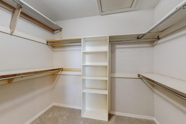 walk in closet featuring light colored carpet