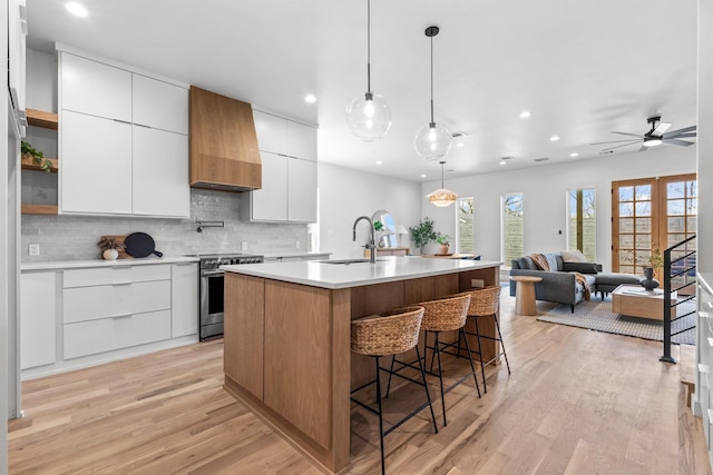 kitchen with high end stainless steel range oven, premium range hood, modern cabinets, and a sink