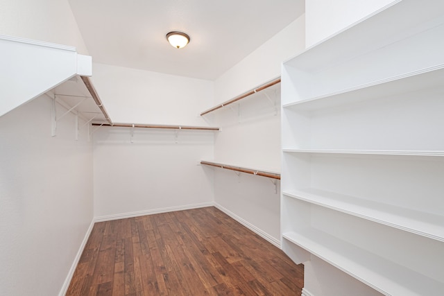 walk in closet featuring hardwood / wood-style flooring