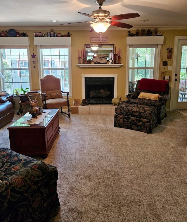 carpeted living area with a healthy amount of sunlight, a fireplace, and ornamental molding