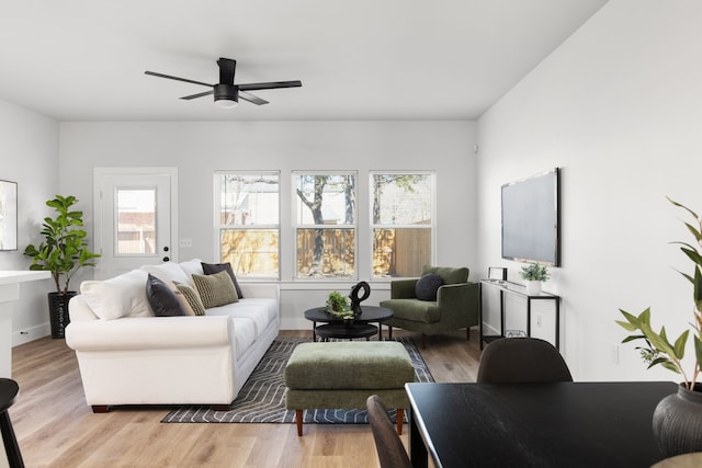 living room featuring ceiling fan and wood finished floors