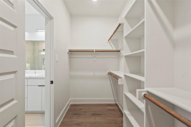 walk in closet featuring wood finished floors