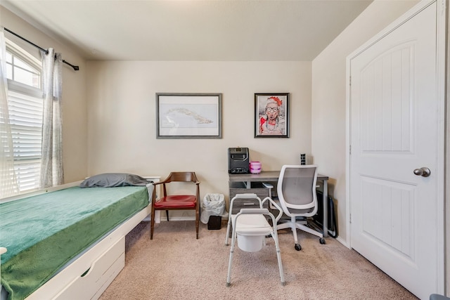 bedroom featuring carpet floors and baseboards