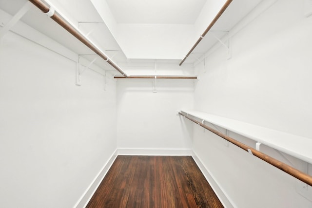 spacious closet with dark wood finished floors