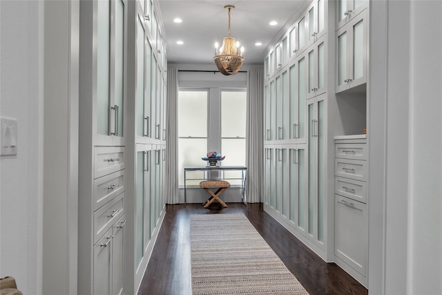 walk in closet featuring dark wood-style flooring