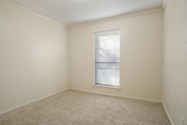 carpeted empty room with plenty of natural light, crown molding, and a textured ceiling