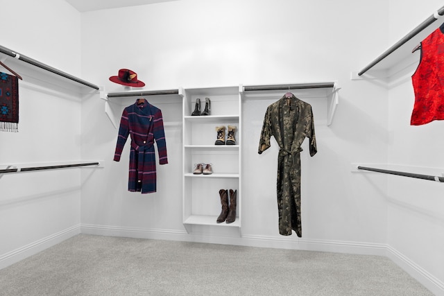 spacious closet with carpet