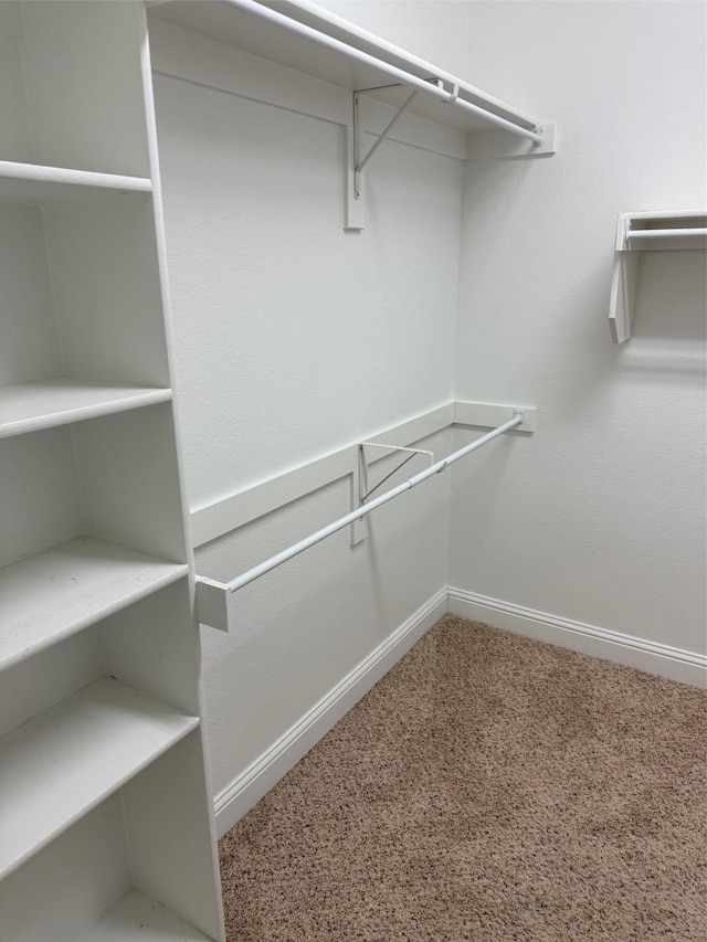 spacious closet featuring carpet