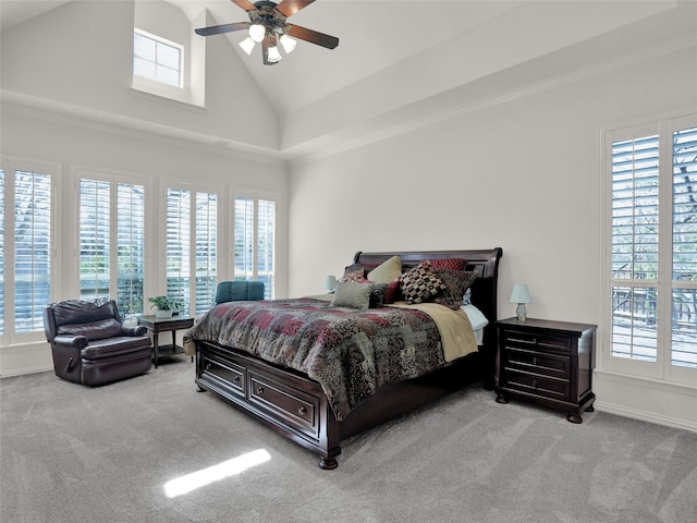 bedroom with multiple windows and carpet flooring