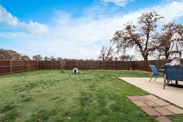 view of yard featuring a fenced backyard and a patio