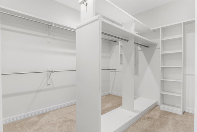 walk in closet featuring carpet floors