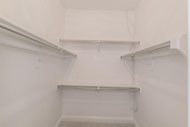 view of walk in closet