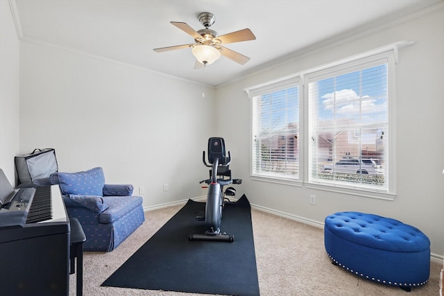 workout room featuring ornamental molding, carpet flooring, and baseboards