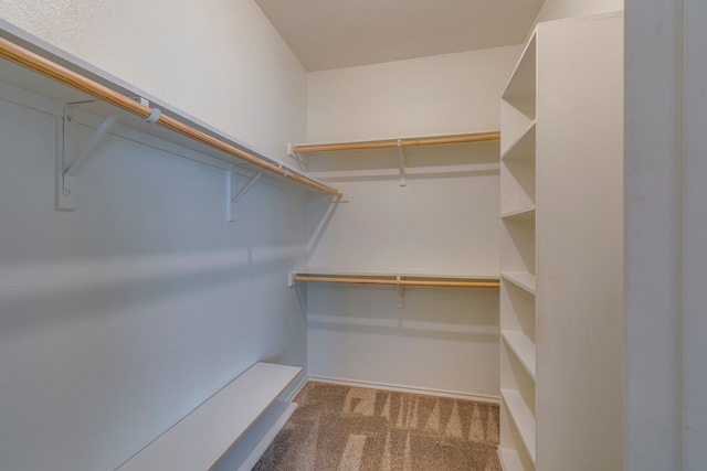 walk in closet with carpet floors