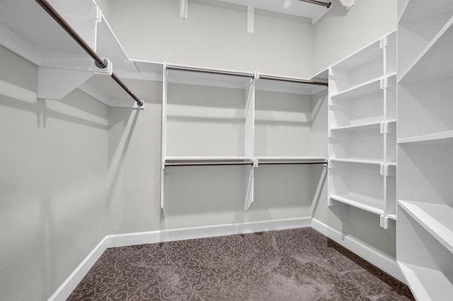 view of walk in closet