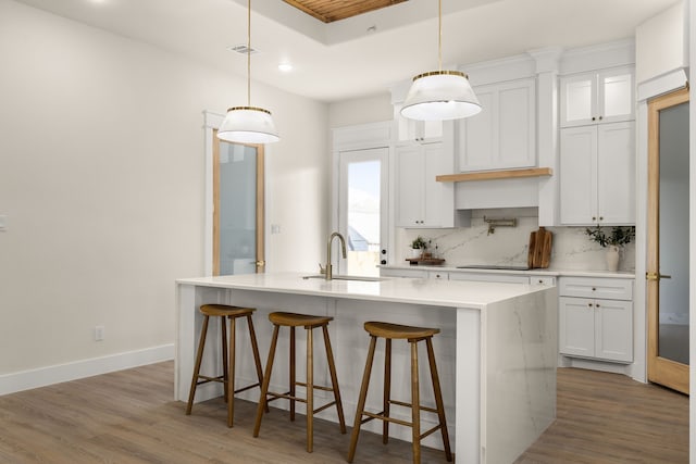 kitchen with tasteful backsplash, a sink, an island with sink, and wood finished floors