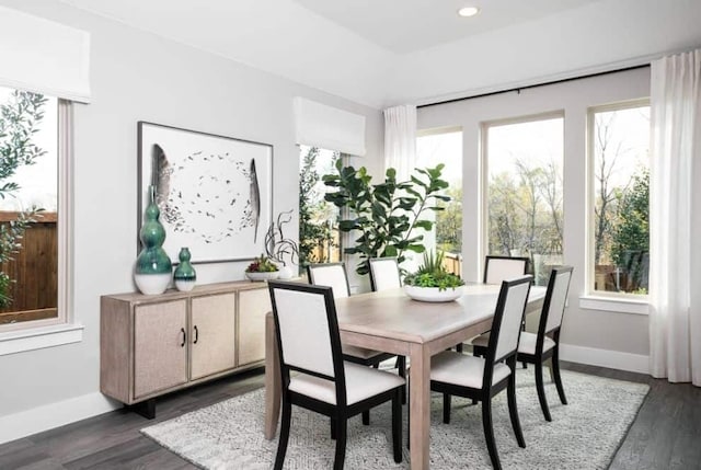 dining area featuring baseboards, dark wood-style flooring, and a wealth of natural light