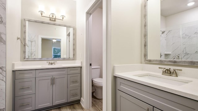 full bathroom featuring wood finished floors, two vanities, a sink, and toilet