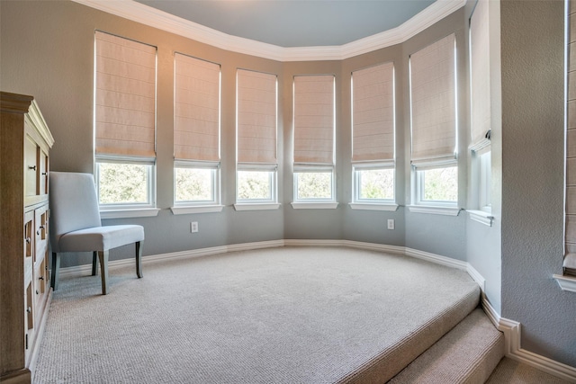 sitting room with ornamental molding, carpet, a wealth of natural light, and baseboards