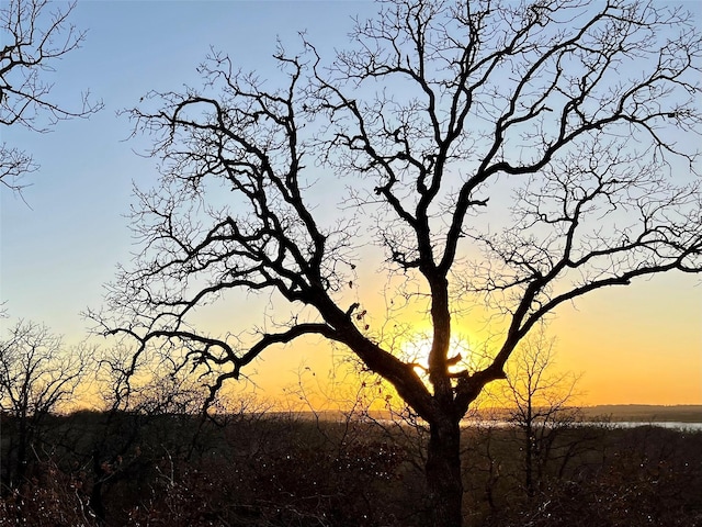 view of nature at dusk