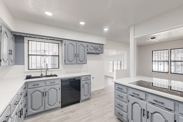 kitchen featuring gray cabinets, a healthy amount of sunlight, dishwasher, and a sink