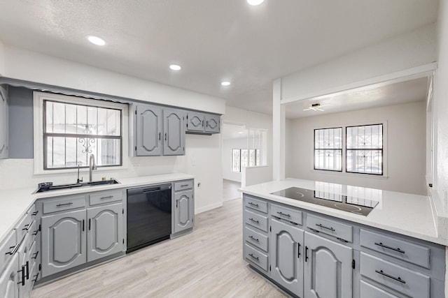 kitchen with black appliances, plenty of natural light, light wood finished floors, and gray cabinetry