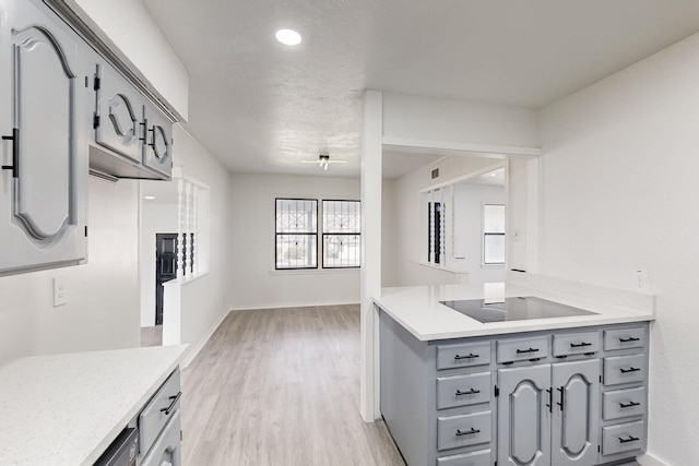 kitchen with light wood-style floors, gray cabinets, light countertops, and black electric stovetop