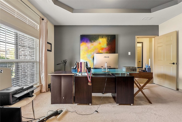 office space featuring light carpet and a raised ceiling