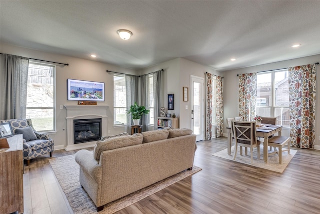 living room featuring a glass covered fireplace, plenty of natural light, and wood finished floors