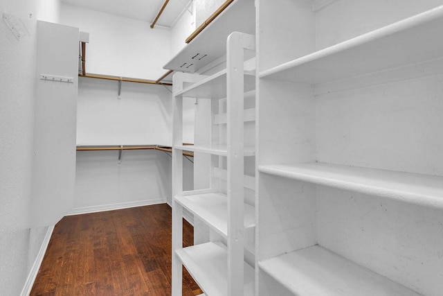 spacious closet featuring wood finished floors