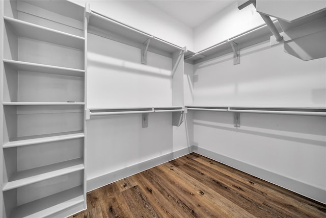 walk in closet featuring dark wood-style flooring