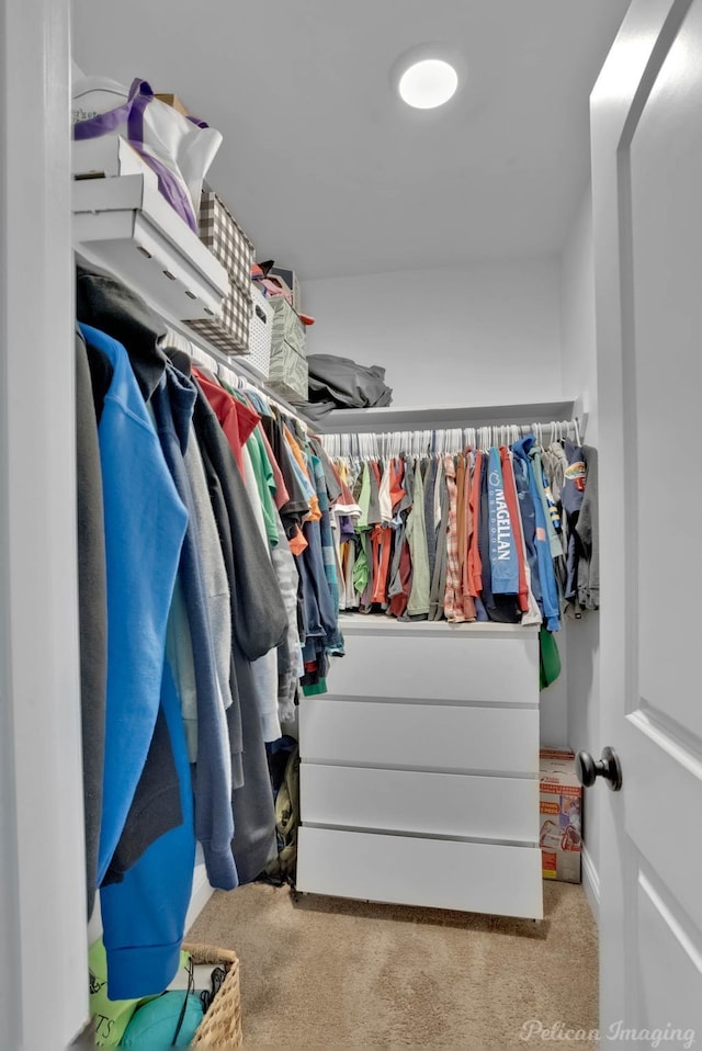 spacious closet featuring carpet flooring