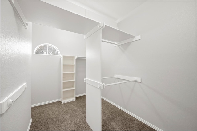 walk in closet with carpet