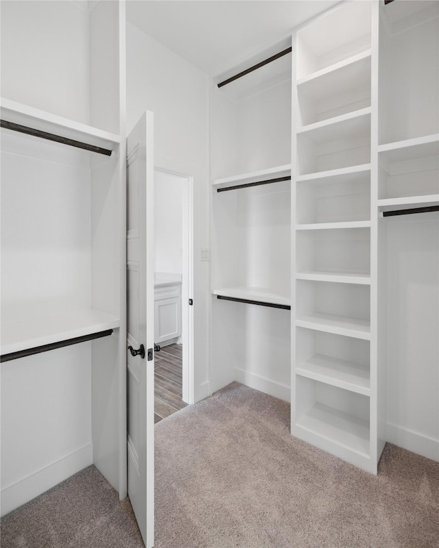 walk in closet with carpet flooring