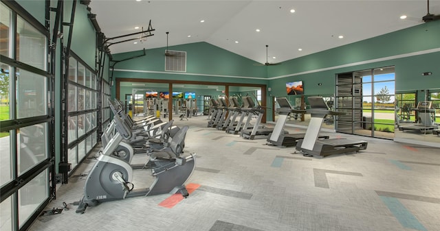 exercise room featuring high vaulted ceiling and carpet flooring