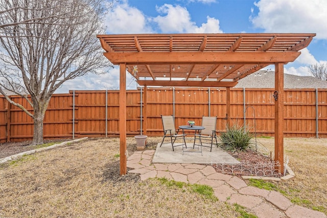 view of yard with a patio area, a fenced backyard, and a pergola