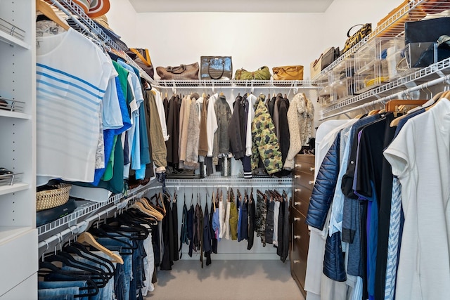walk in closet with carpet flooring