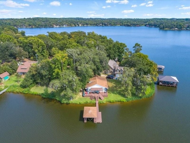 drone / aerial view with a water view and a view of trees