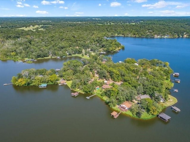 drone / aerial view with a water view and a forest view