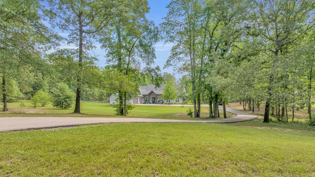 19909 County Road 1102, Flint, TX 75762 - view of community featuring a lawn