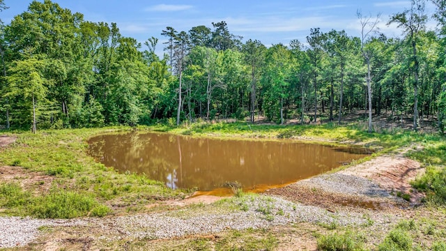 19909 County Road 1102, Flint, TX 75762 - view of yard with a forest view and a water view