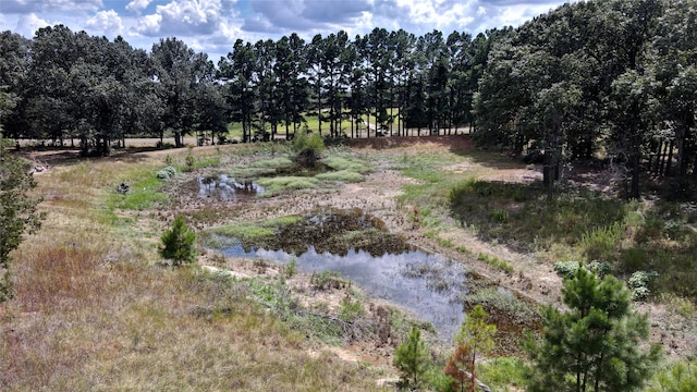 view of nature featuring a water view